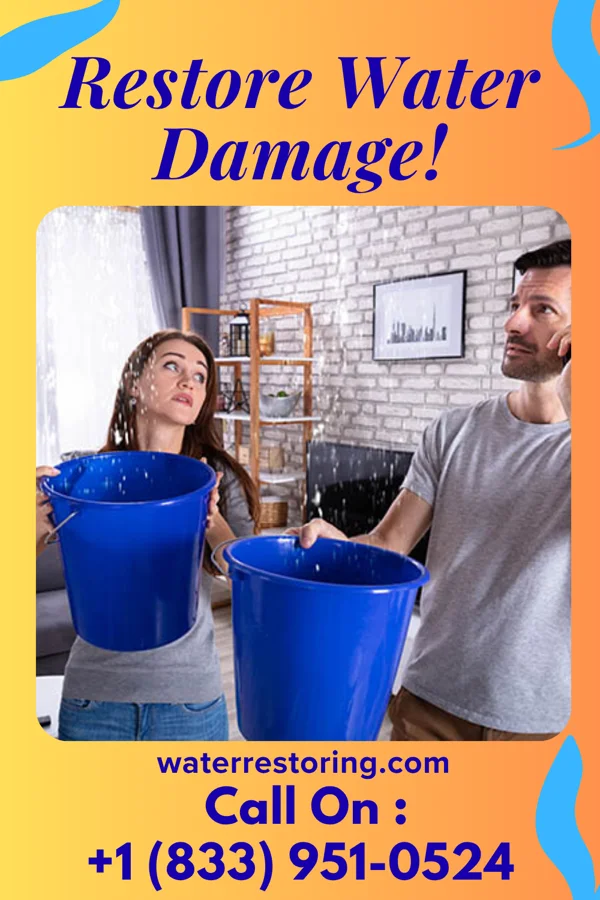 water restoration Prestige Water Mitigation Co Lloyd